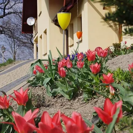Apartament Zacisze Ustron Exterior photo