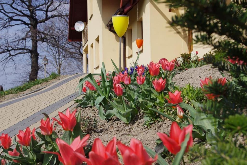 Zacisze Apartment Ustron